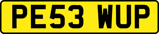 PE53WUP