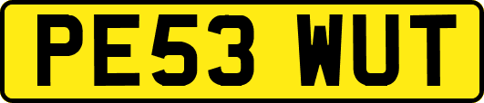 PE53WUT