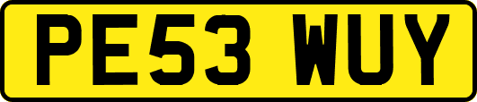 PE53WUY