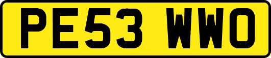PE53WWO