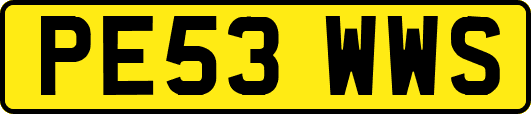 PE53WWS