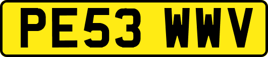 PE53WWV