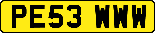 PE53WWW