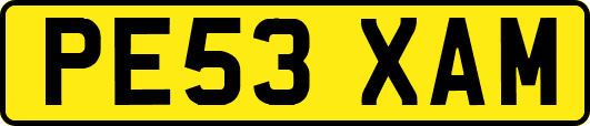 PE53XAM