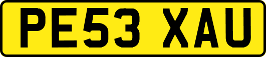 PE53XAU