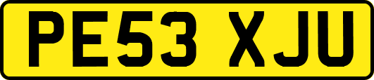 PE53XJU