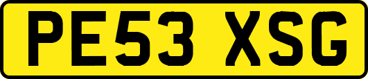 PE53XSG