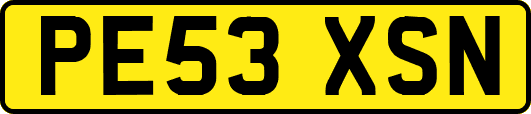 PE53XSN