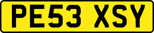 PE53XSY