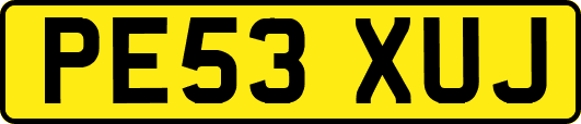PE53XUJ