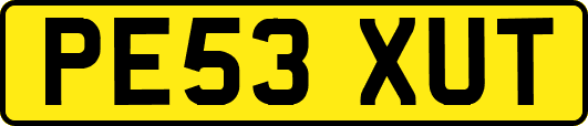PE53XUT