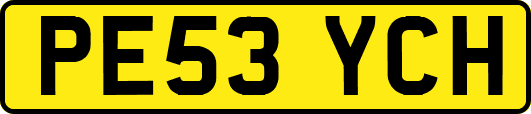 PE53YCH