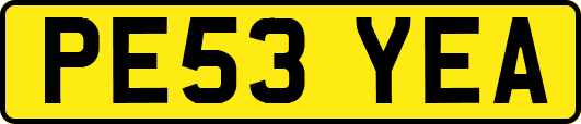 PE53YEA