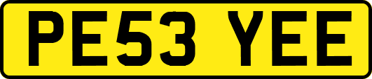 PE53YEE