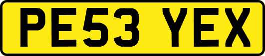 PE53YEX