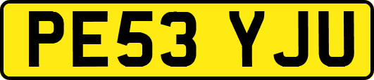 PE53YJU