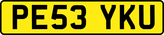 PE53YKU