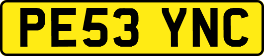 PE53YNC