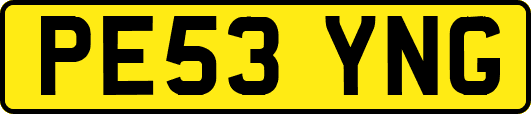 PE53YNG