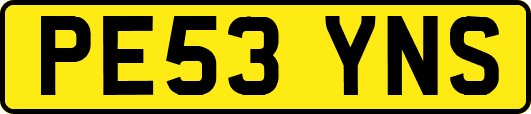PE53YNS