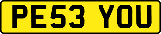 PE53YOU