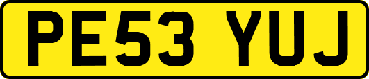 PE53YUJ