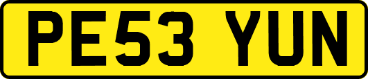 PE53YUN