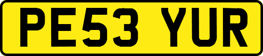 PE53YUR
