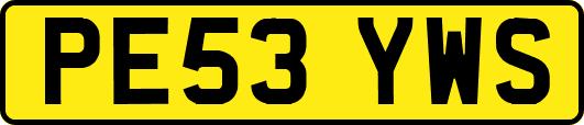 PE53YWS
