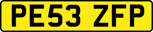 PE53ZFP