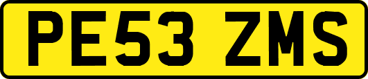 PE53ZMS