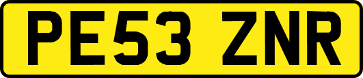 PE53ZNR
