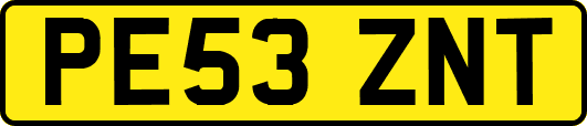 PE53ZNT