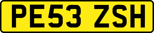 PE53ZSH