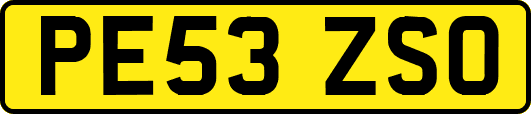 PE53ZSO