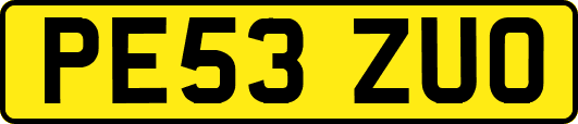PE53ZUO