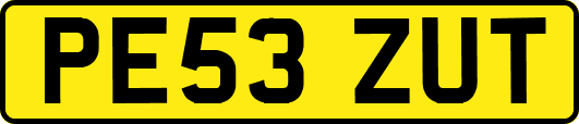 PE53ZUT