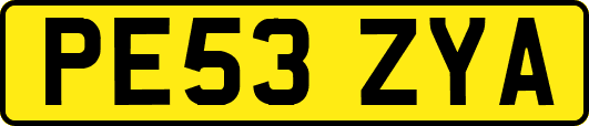 PE53ZYA