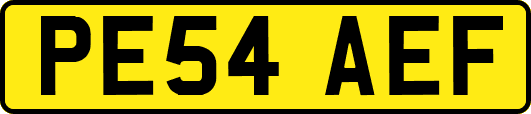 PE54AEF