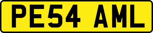 PE54AML