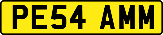 PE54AMM