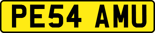 PE54AMU