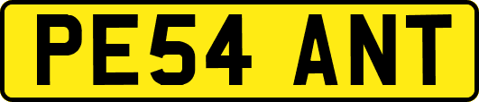 PE54ANT
