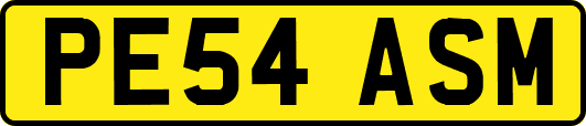 PE54ASM