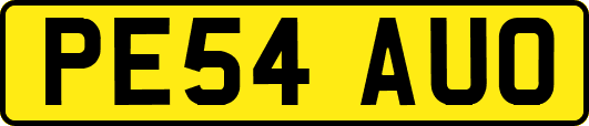 PE54AUO