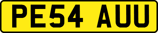 PE54AUU