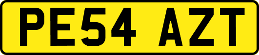 PE54AZT
