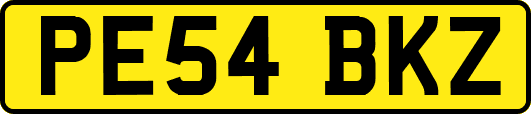 PE54BKZ