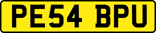 PE54BPU