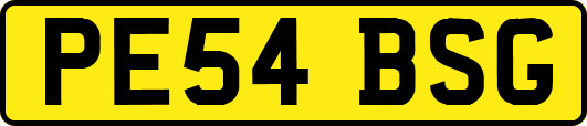 PE54BSG